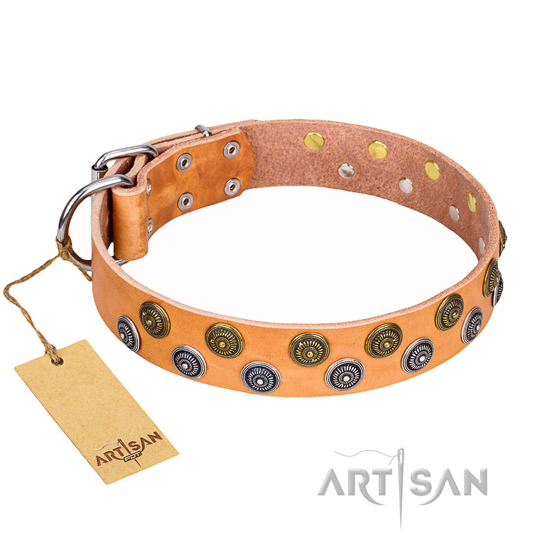 "Precious Sparkle" FDT Artisan Tan Leather Cane Corso Collar - 1 1/2 inch (40 mm) wide