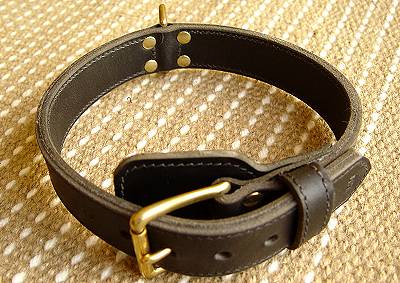 Two ply leather agitation dog collar for CANE CORSO