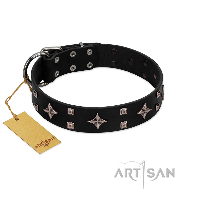 "Snappy Dresser" FDT Artisan Black Leather Cane Corso Collar Adorned with Stars and Tiny Squares