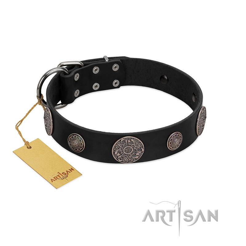 "Ad Infinitum" Durable FDT Artisan Black Leather Cane Corso Collar with Chrome Plated Brooches