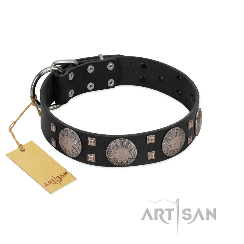 "Sun in Shining" Modern FDT Artisan Black Leather Cane Corso Collar with Studs and Stars