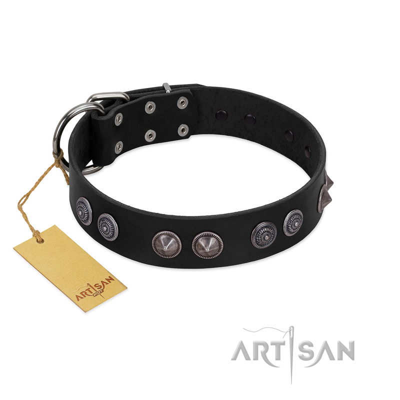 "Silver Medallions" Mod FDT Artisan Black Leather Cane Corso Collar with Round Plates