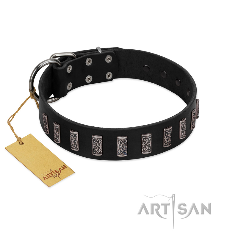 "Black Prince" Handmade FDT Artisan Black Leather Cane Corso Collar with Silver-Like Adornments