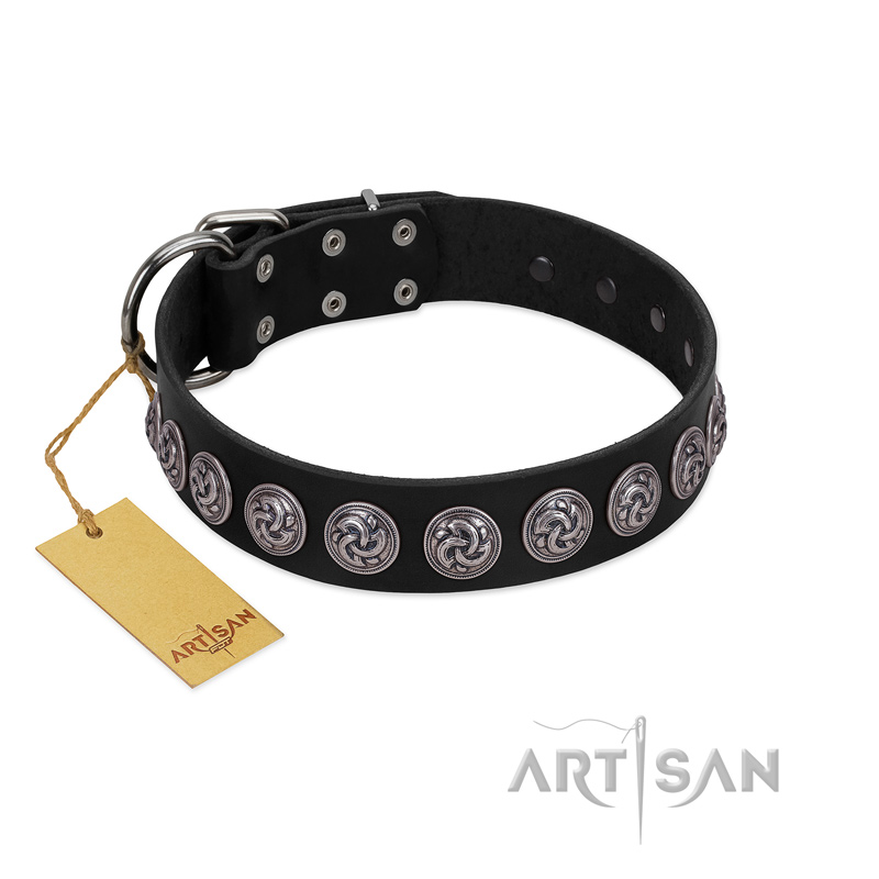 "Black Raven" Handmade FDT Artisan Black Leather Cane Corso Collar with Silver-Like Adornments