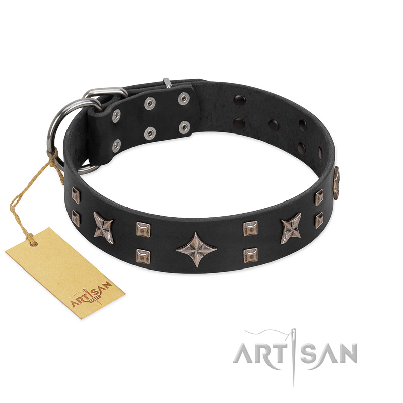 "Star Excitement" Modern FDT Artisan Black Leather Cane Corso Collar with Studs and Stars