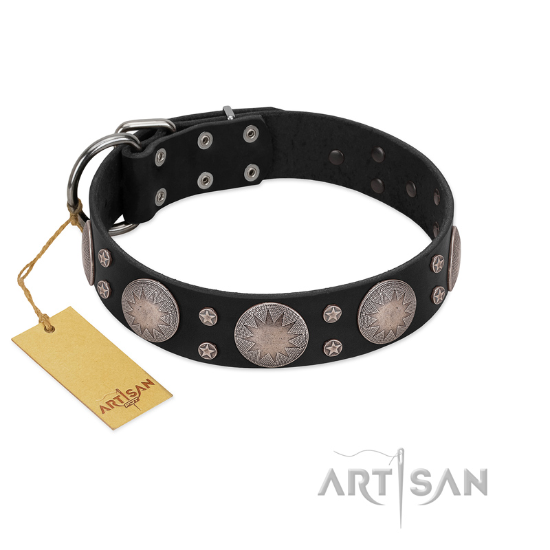 "Starry Sky" Trendy FDT Artisan Black Leather Cane Corso Collar with Large Brooches