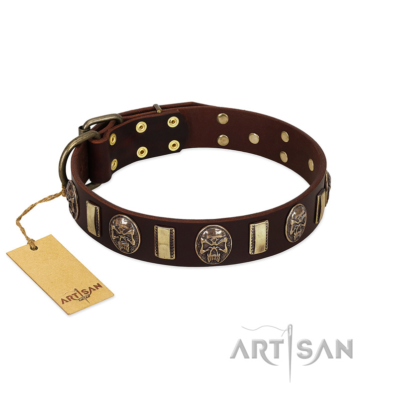 "Skull's Adventure" FDT Artisan Brown Leather Cane Corso Collar with Plates and Ovals