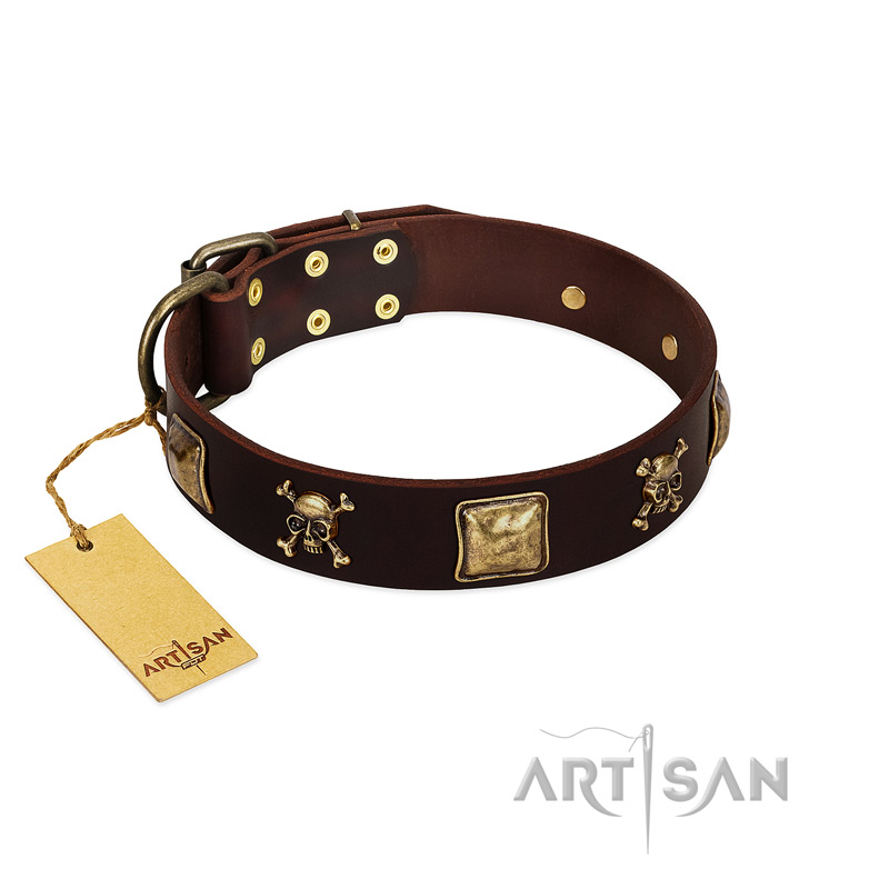 "Crazy Pirate" FDT Artisan Brown Leather Cane Corso Collar with Old Bronze-Plated Skulls and Plates