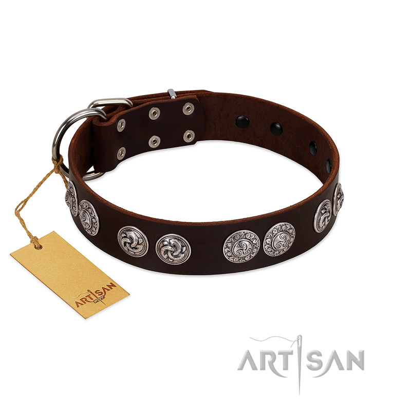 "High and Mighty" FDT Artisan Classy Brown Leather Cane Corso Collar with Embellished Brooches