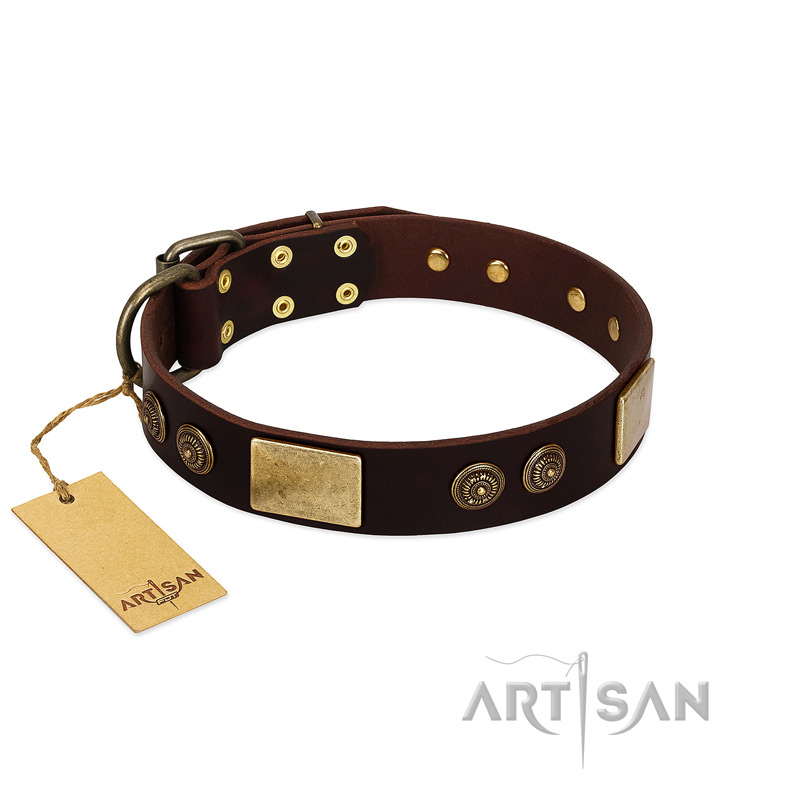 "Bow-Wow Effect" FDT Artisan Brown Leather Cane Corso Collar with Plates and Ornate Studs