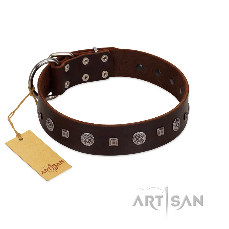"Pure Sensation" Exclusive FDT Artisan Brown Leather Cane Corso Collar with Fancy Brooches and Studs