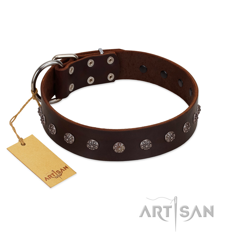 "Graceful Classic" Mod FDT Artisan Brown Leather Cane Corso Collar