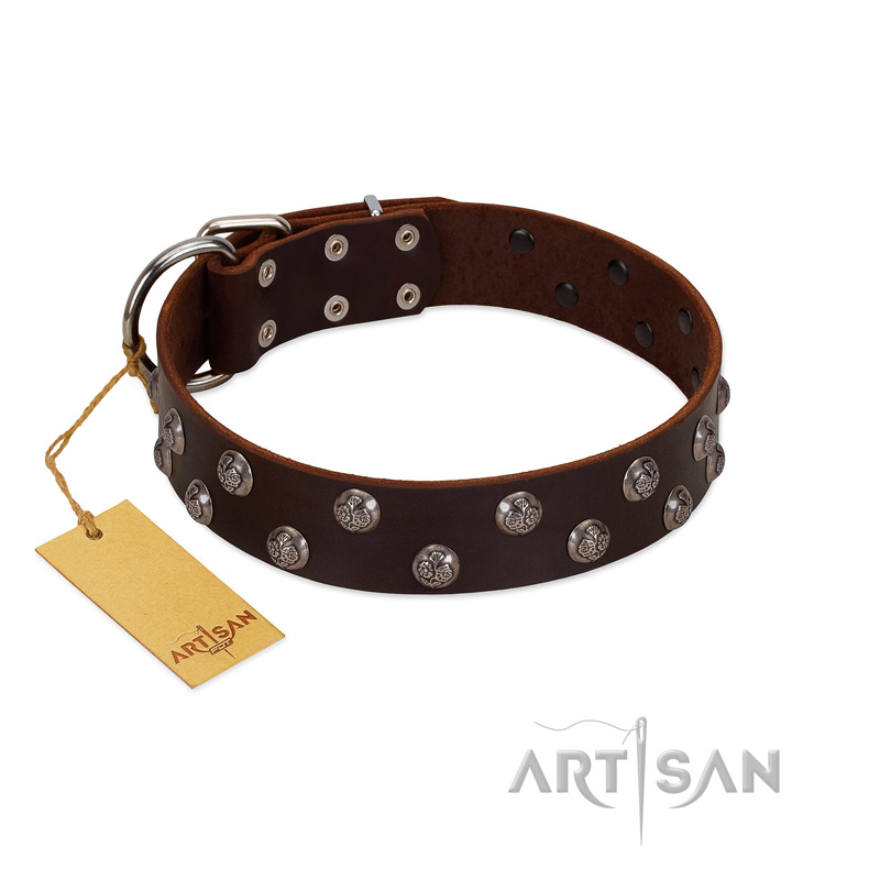 "Blossom Jewel" FDT Artisan Brown Leather Cane Corso Collar with Two Rows of Silver-like Studs with Engraved Flowers