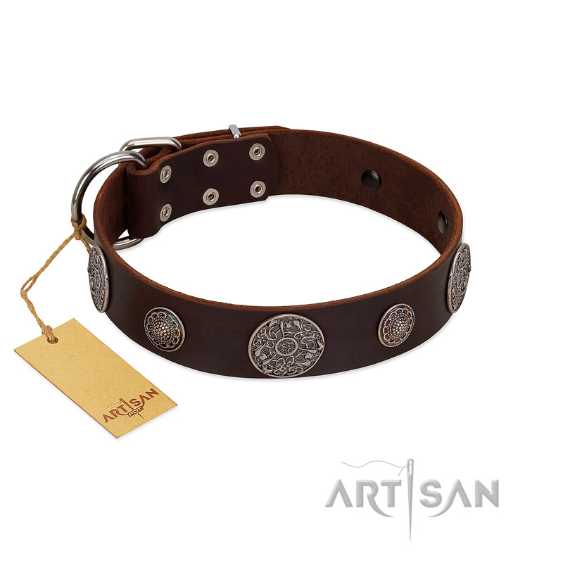"Flashy Woof" FDT Artisan Brown Leather Cane Corso Collar with Chrome Plated Brooches