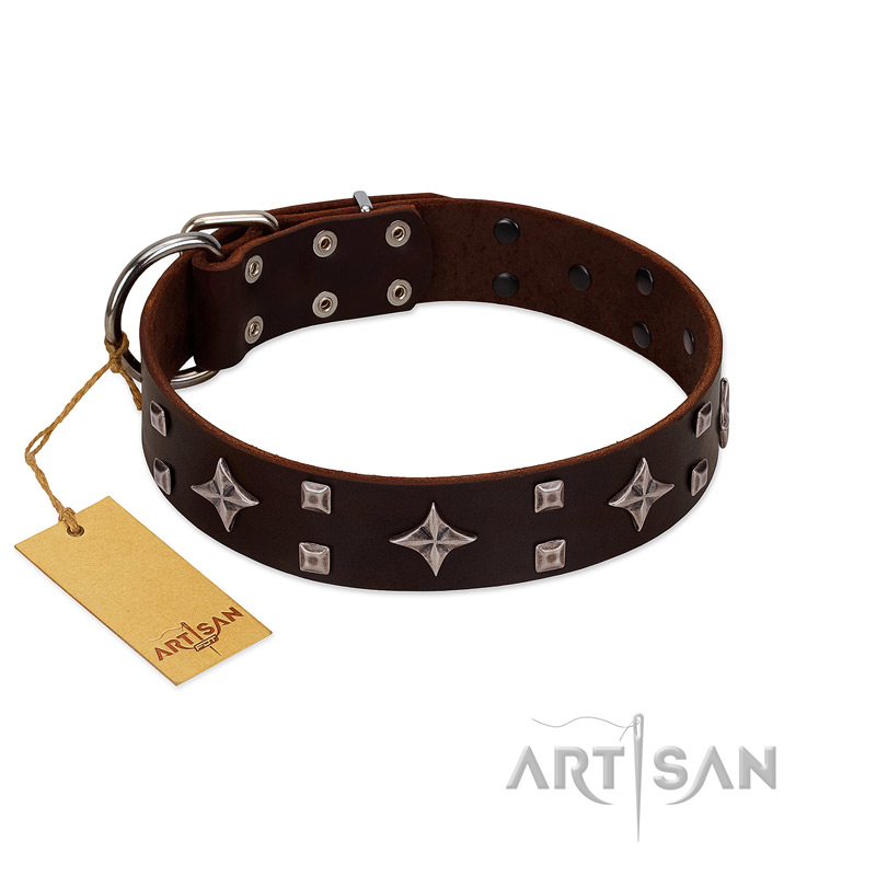 "Trendy Candy" FDT Artisan Brown Leather Cane Corso Collar Adorned with Stars and Tiny Squares