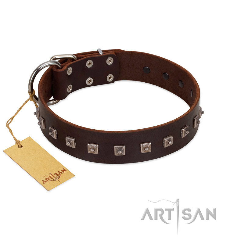 "Kingly Grace" FDT Artisan Brown Leather Cane Corso Collar with Silver-like Dotted Studs