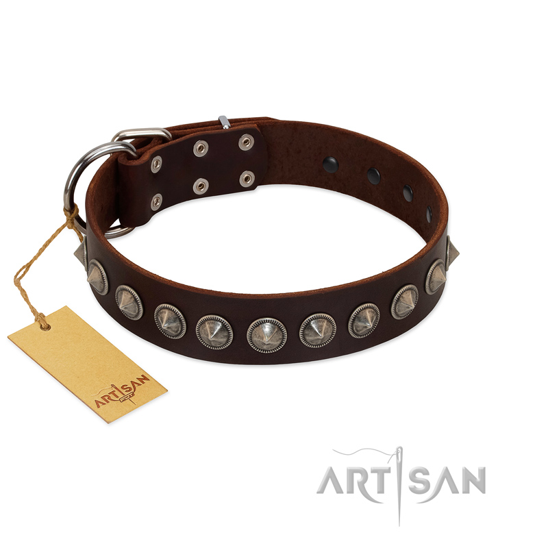 "Gothic Style" FDT Artisan Fancy Brown Leather Cane Corso Collar with Silver-Like Decorations