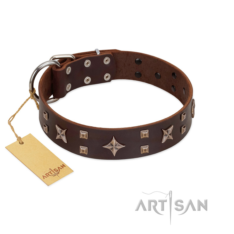 "Stars in Sands" Modern FDT Artisan Brown Leather Cane Corso Collar with Studs and Stars