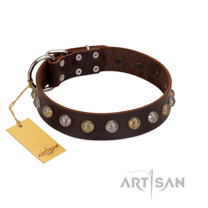 "Gape Buster" FDT Artisan Brown Leather Cane Corso Collar with One Row of Studs