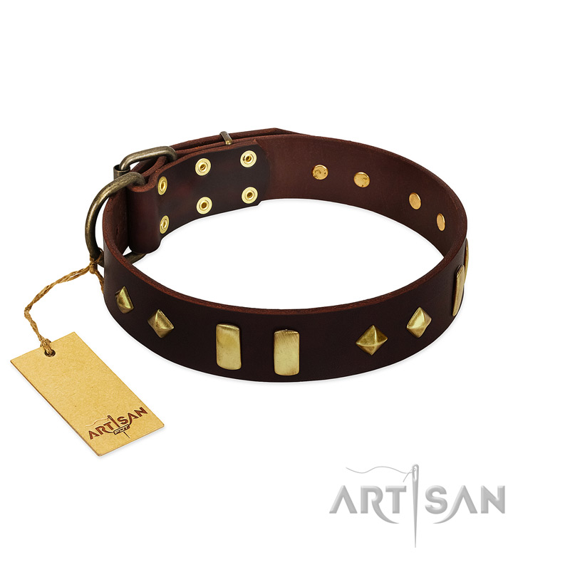 "Blinking Illusion" FDT Artisan Brown Leather Cane Corso Collar with Old Bronze-like Studs and Plates