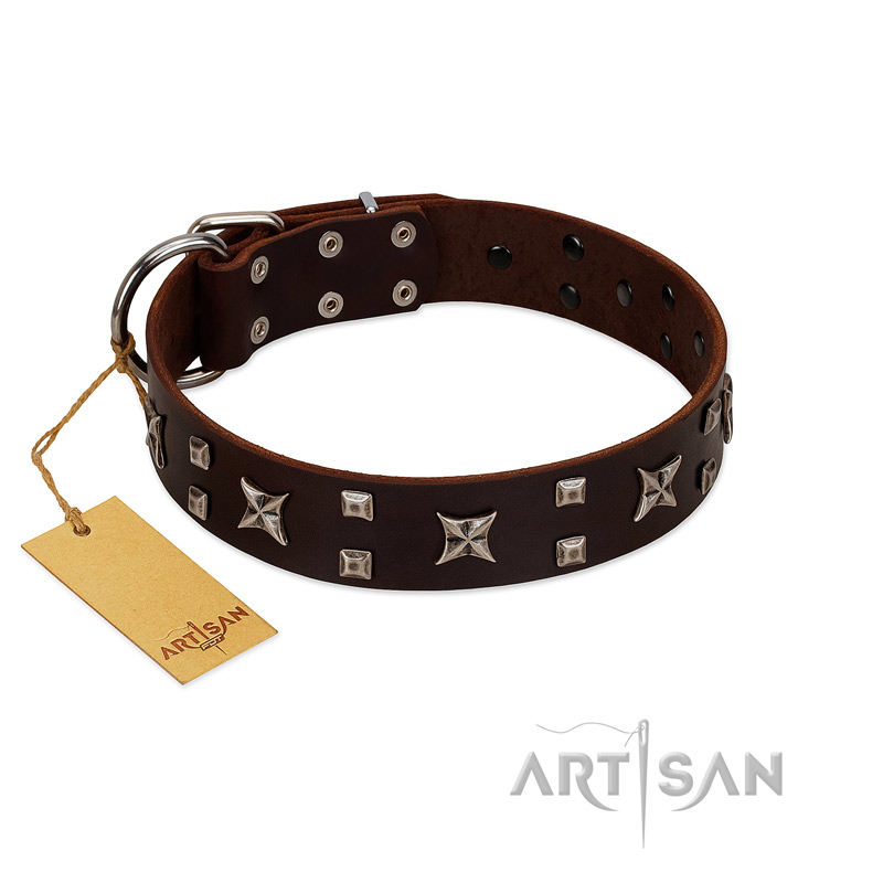 "Bigwig Woof" FDT Artisan Brown Leather Cane Corso Collar with Chrome Plated Stars and Square Studs - Click Image to Close
