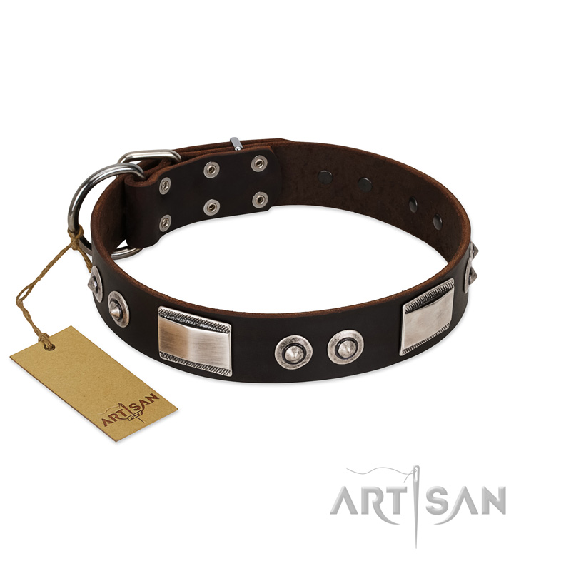 "Baller Status" FDT Artisan Brown Leather Cane Corso Collar Adorned with a Set of Chrome Plated Studs and Plates - Click Image to Close