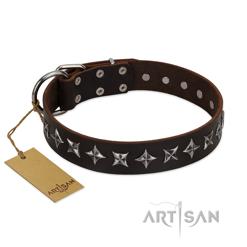 "Stars of Glory" FDT Artisan Brown Leather Cane Corso Collar for Comfortable Walking