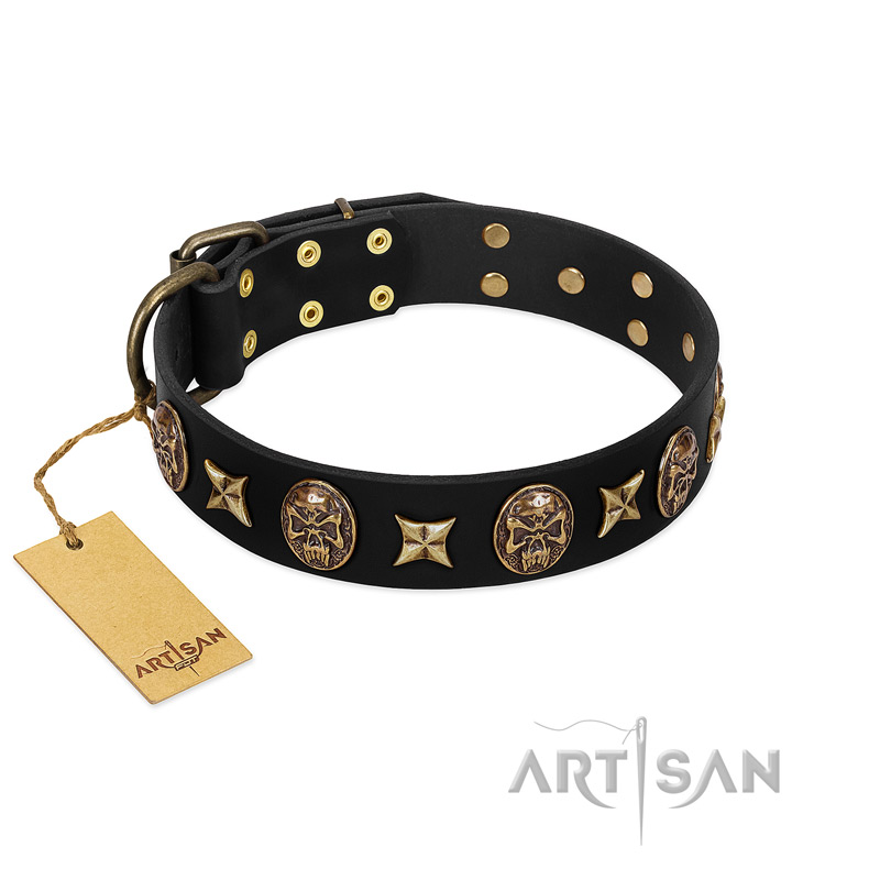 "Starry Saga" FDT Artisan Black Leather Cane Corso Collar with Stars and Skulls