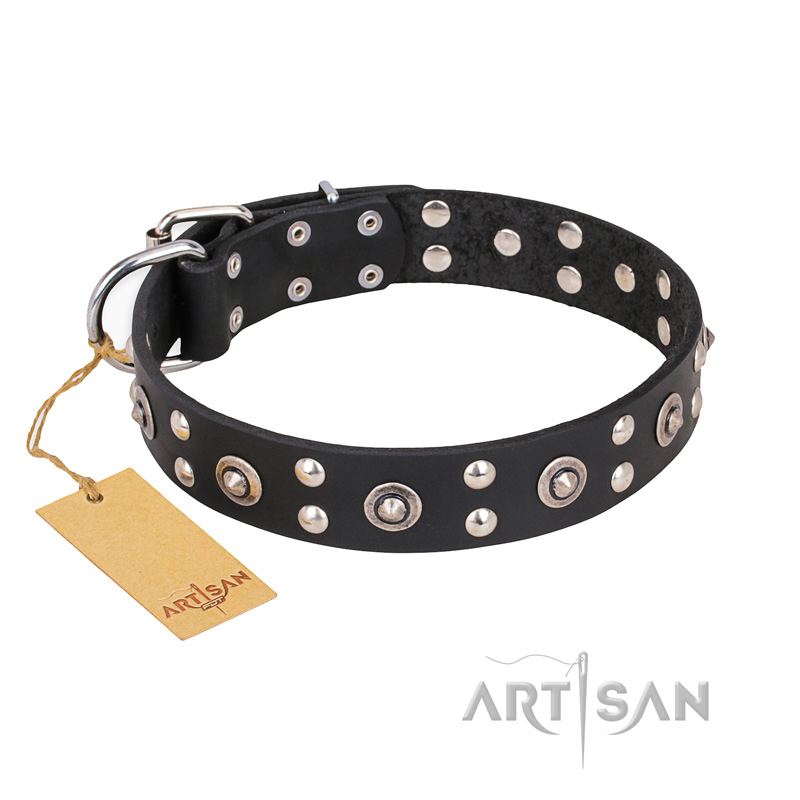 "Refined Essence" FDT Artisan Black Leather Cane Corso Collar with Silvery Studs