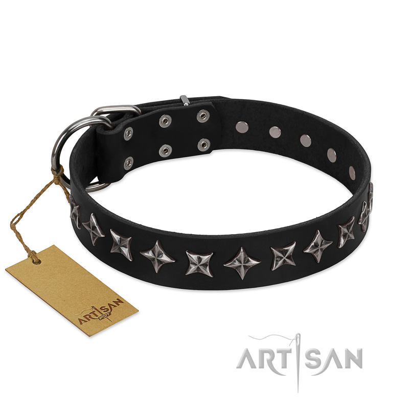 "Lights-out" FDT Artisan Black Leather Cane Corso Collar with Silver-like Set of Stars