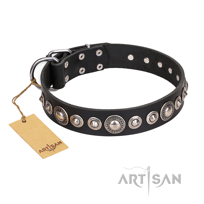 "Strict Elegance" FDT Artisan Black Leather Cane Corso Collar with Decorations