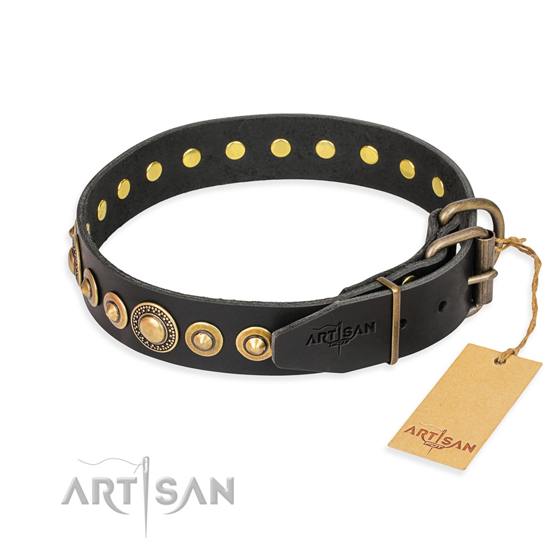 "Gold Mine" FDT Artisan Black Leather Cane Corso Collar with Amazing Bronze-Plated Round Studs