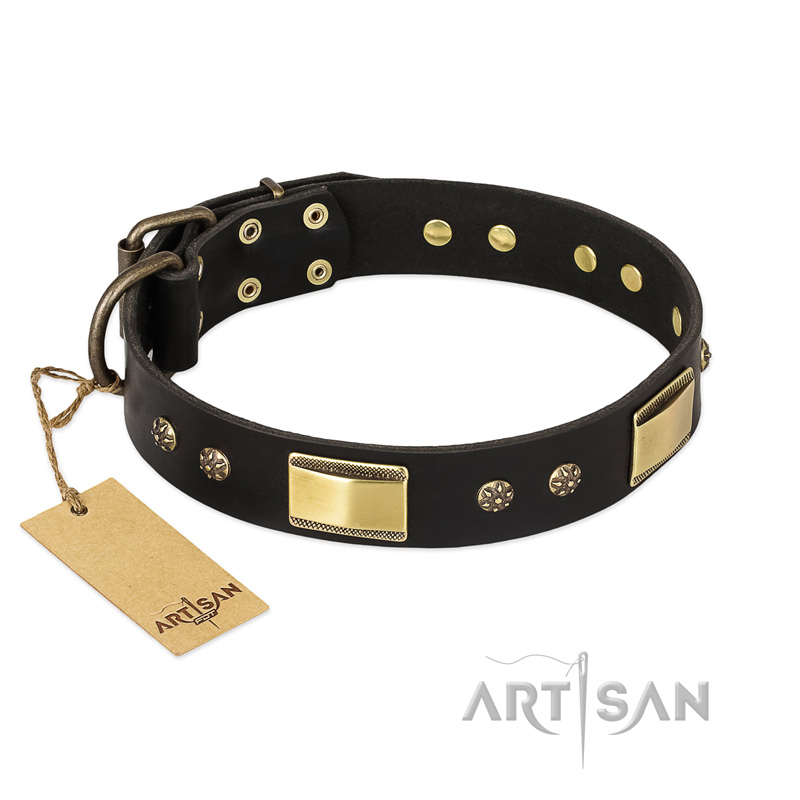 "Black Sun" FDT Artisan Leather Cane Corso Collar with Brass Plated Decorations
