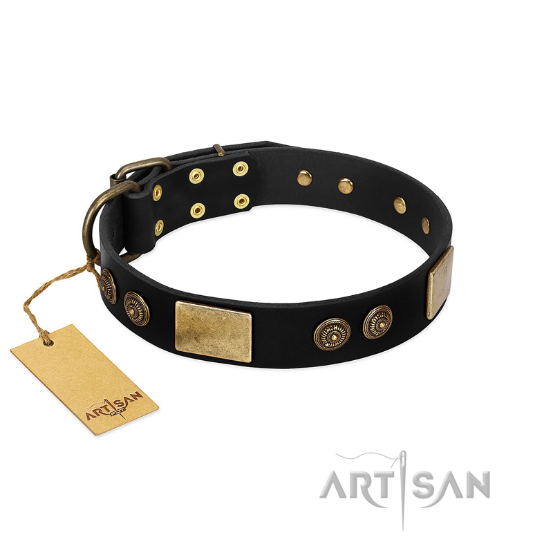 "Chicci-Glam" FDT Artisan Black Leather Cane Corso Collar with Plates and Ornate Studs