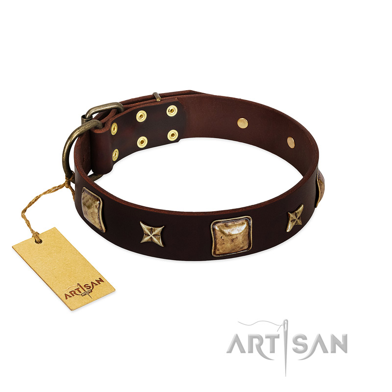 "Choco Dreams" FDT Artisan Brown Leather Cane Corso Collar with Squares and Stars