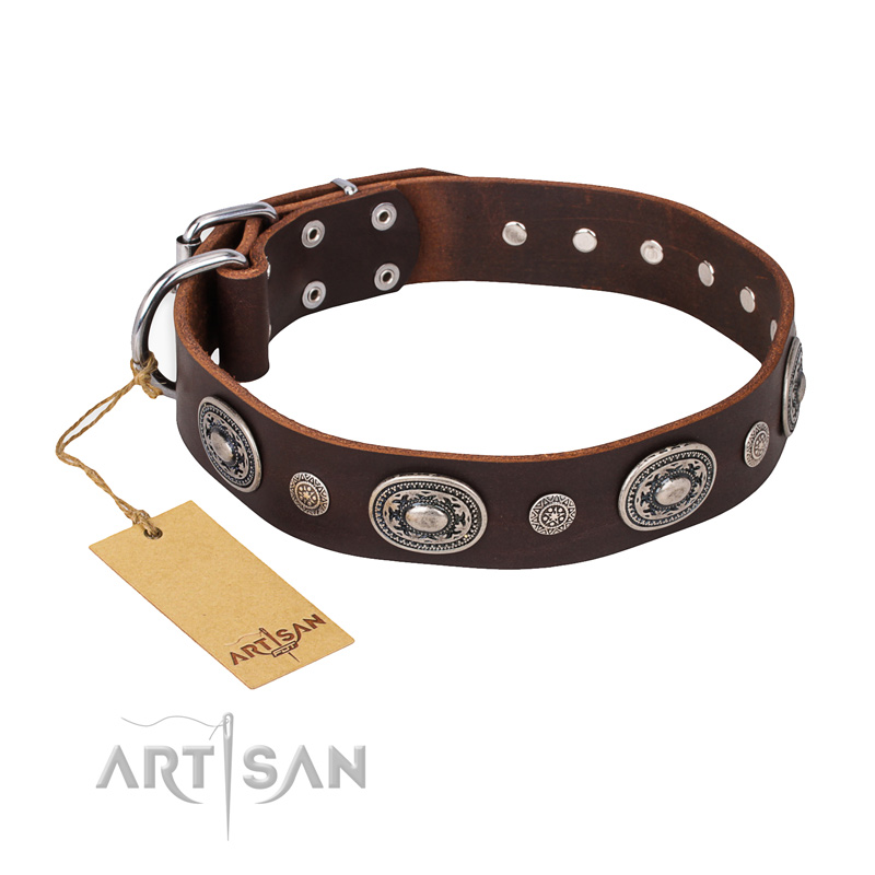 "Extra Pizzazz" FDT Artisan Adorned Brown Leather Cane Corso Collar