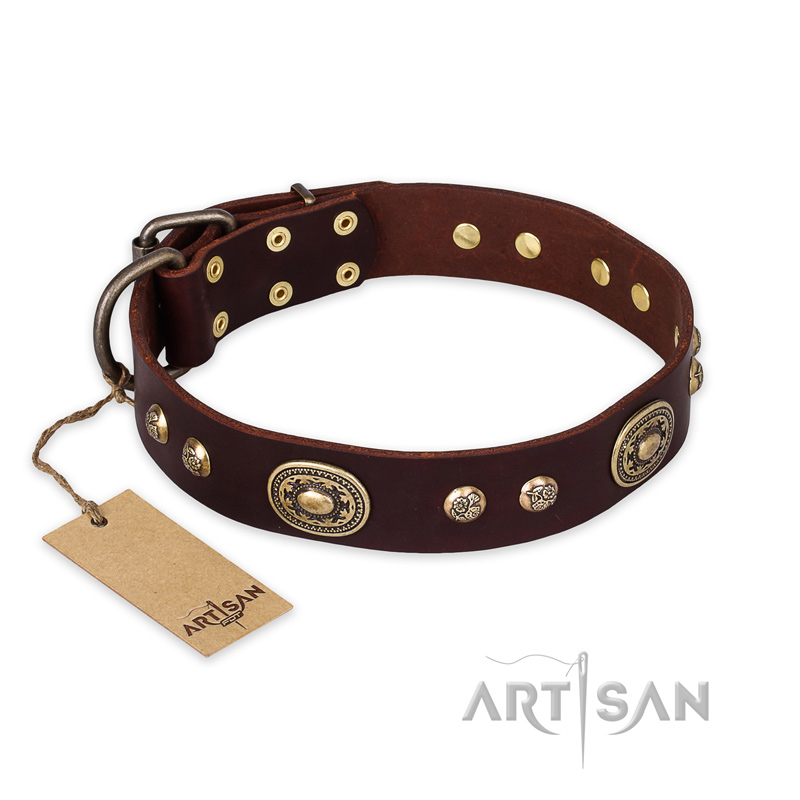 "Breath of Elegance" FDT Artisan Decorated with Plates Brown Leather Cane Corso Collar
