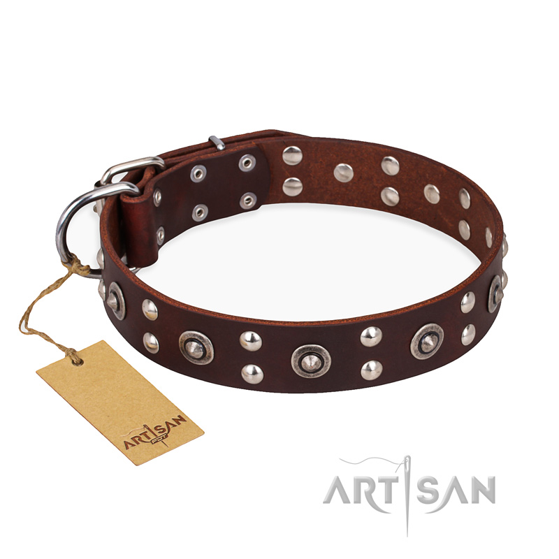 "Pirate Treasure" FDT Artisan Exciting Brown Leather Cane Corso Collar with Studs