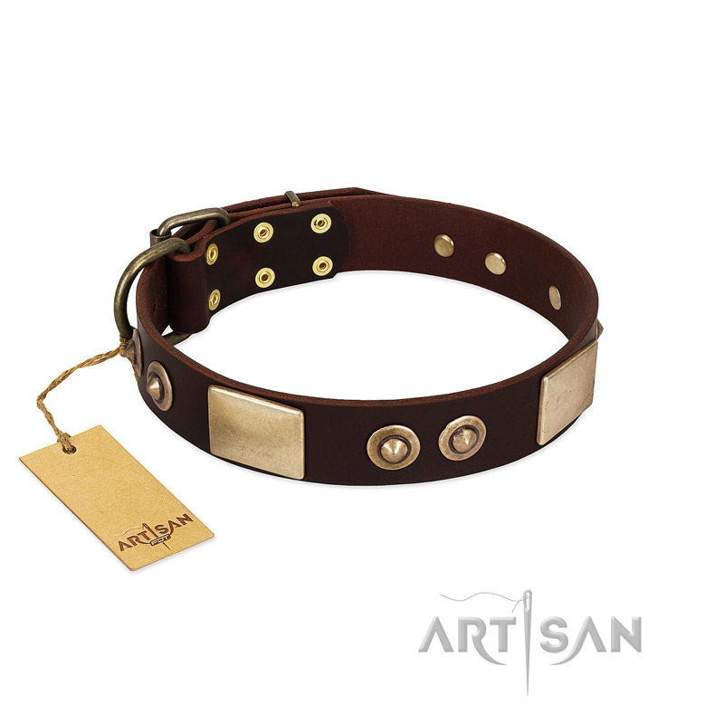 "Sense of Freedom" FDT Artisan Brown Leather Cane Corso Collar with Old Bronze-Plated Studs and Plates