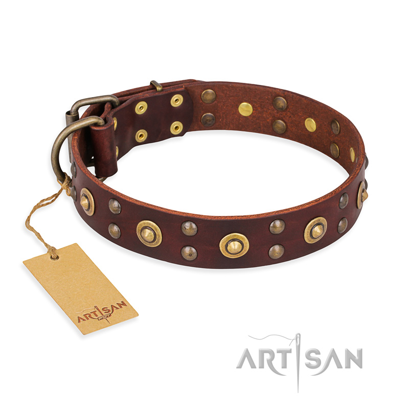 "Caprice of Fashion" FDT Artisan Brown Leather Cane Corso Collar with Round Decorations