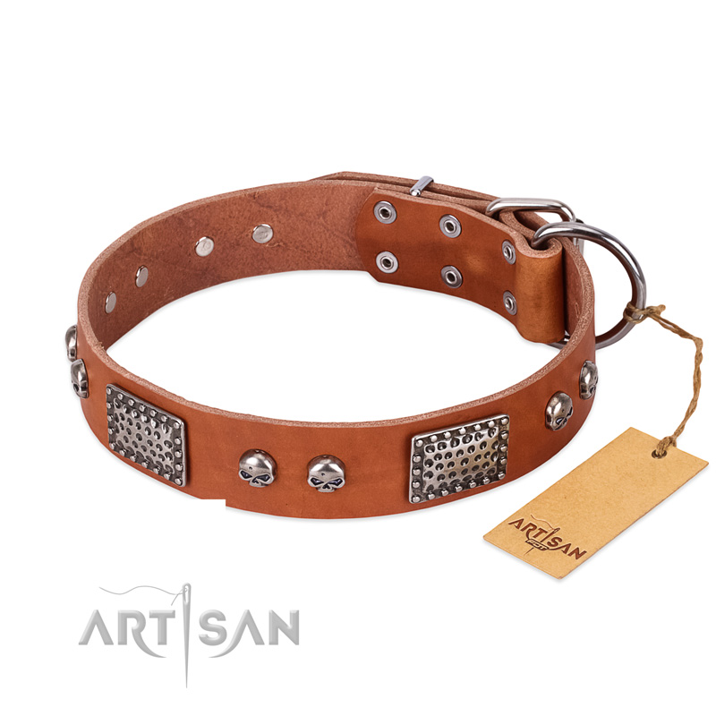 "Sparkling Skull" FDT Artisan Tan Leather Cane Corso Collar with Old Silver Look Plates and Skulls - Click Image to Close