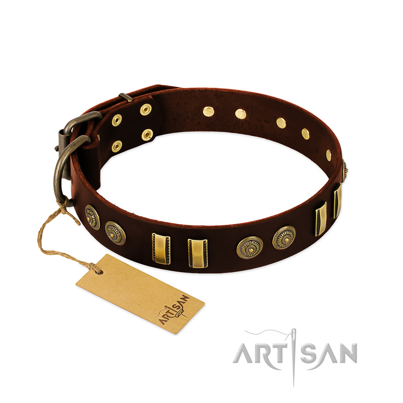 "Golden Elegance" FDT Artisan Brown Leather Cane Corso Collar with Old Bronze-like Decorations