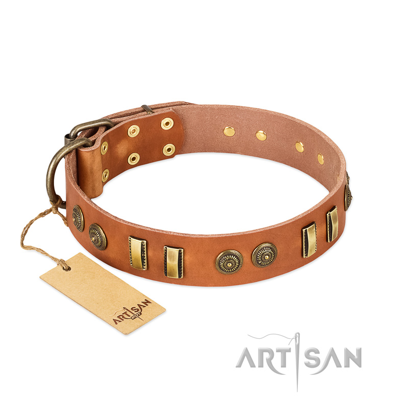 "Natural Beauty" FDT Artisan Tan Leather Cane Corso Collar with Old Bronze-like Circles and Plates