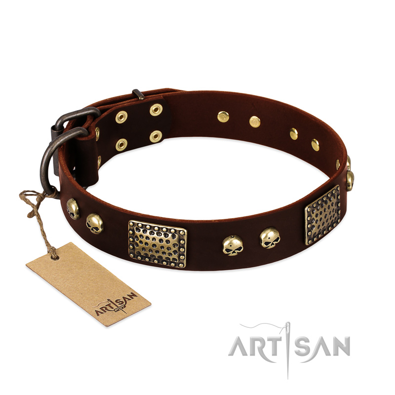 "Magic Amulet" Brown Leather Cane Corso Collar with Skulls and Plates