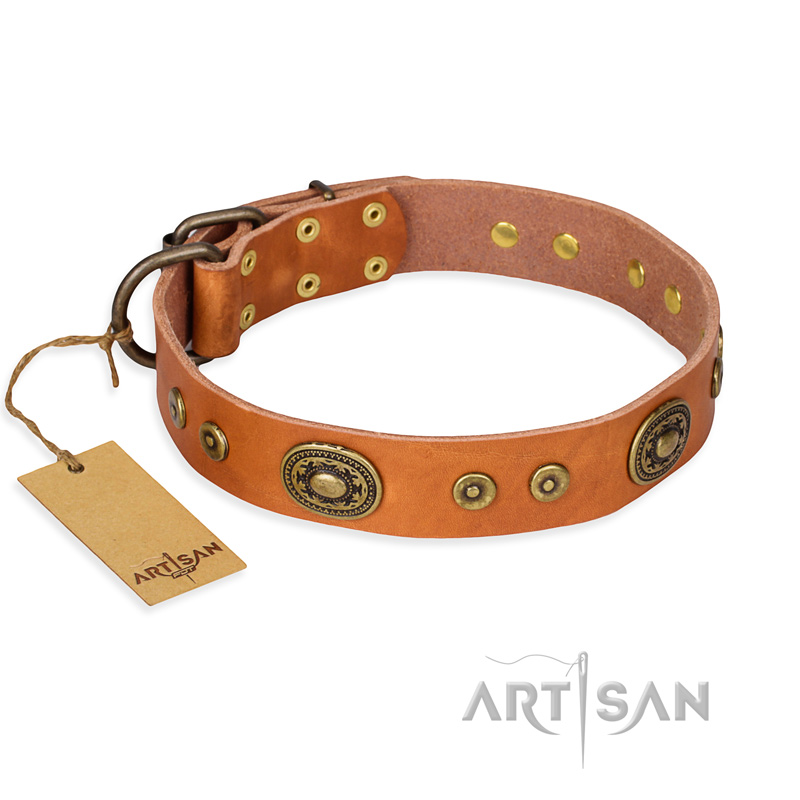 "Dandy Pet" FDT Artisan Handcrafted Tan Leather Cane Corso Collar