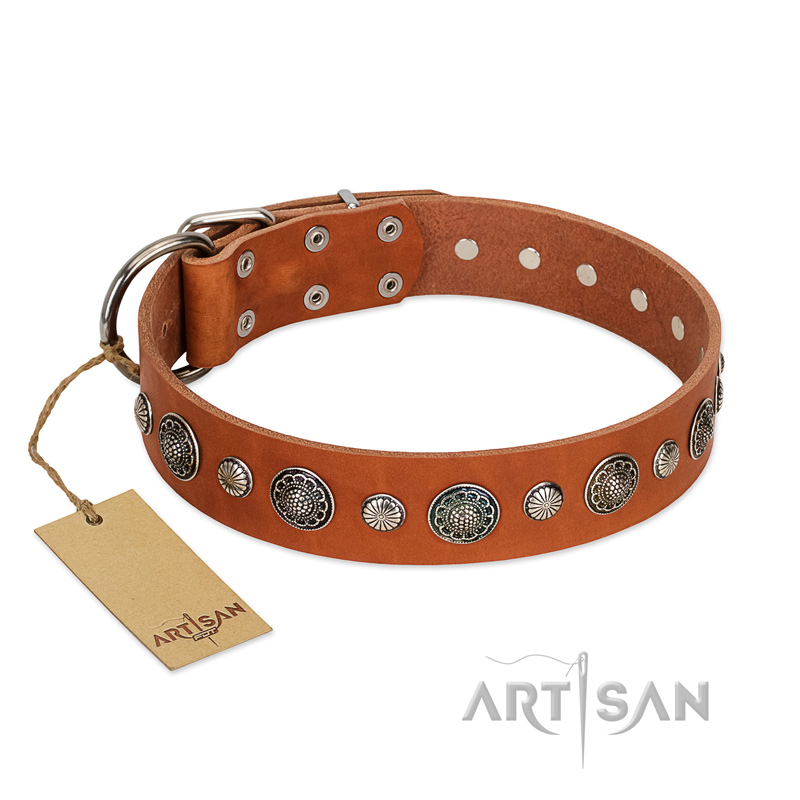 "Natural Beauty" FDT Artisan Tan Leather Cane Corso Collar with Shining Silver-like Studs