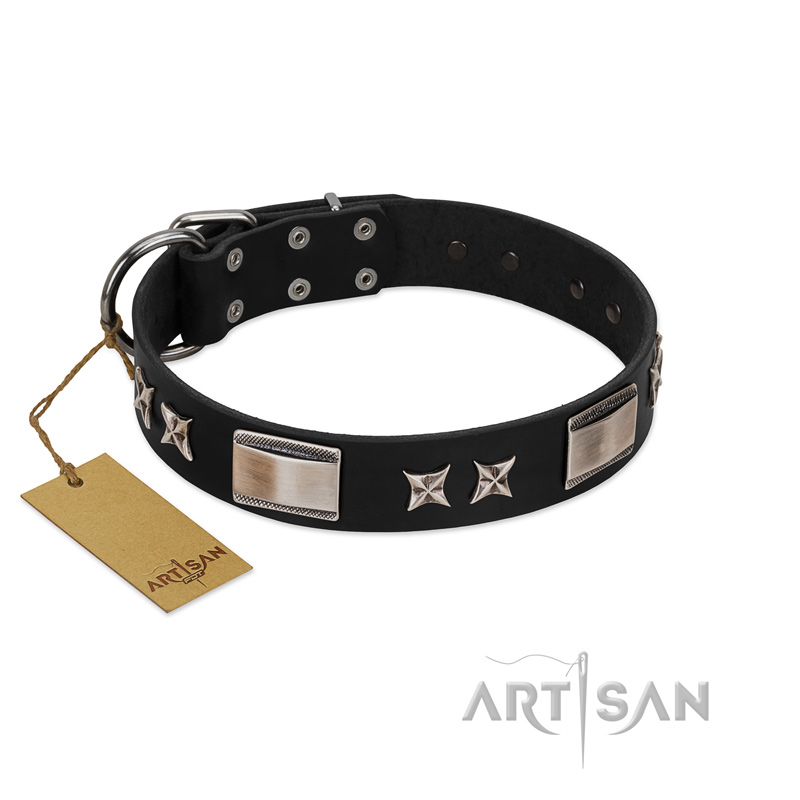"Pitch Dark" FDT Artisan Black Leather Cane Corso Collar with Stars and Plates