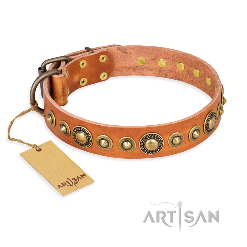 "Feast of Luxury" FDT Artisan Tan Leather Cane Corso Collar with Old Bronze Look Circles