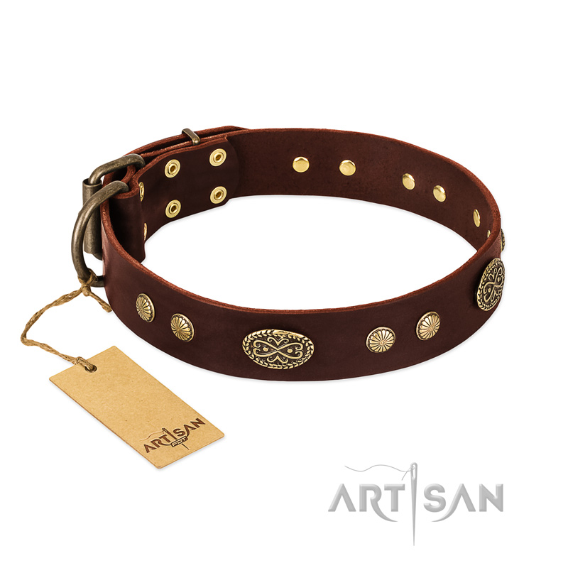 "Old-fashioned Glamor" FDT Artisan Brown Leather Cane Corso Collar with Old Bronze Look Plates and Circles