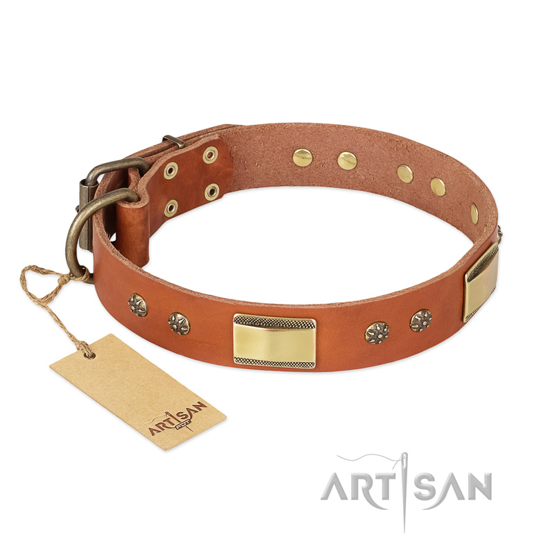 "Enchanting Spectacle" FDT Artisan Tan Leather Cane Corso Collar with Old Bronze Look Plates and Round Studs